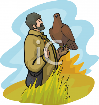 Falcon Clipart