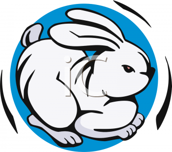 Rabbit Clipart