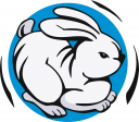 Rabbit Clipart