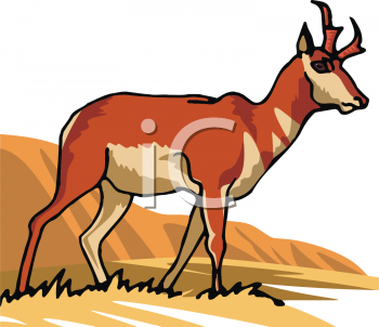 Gazelle Clipart