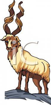 Goat Clipart