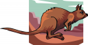 Kangaroo Clipart