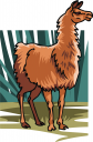 Llama Clipart