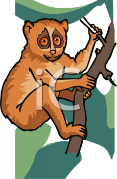 Monkey Clipart