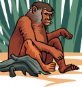 Monkey Clipart