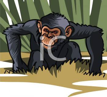 Monkey Clipart