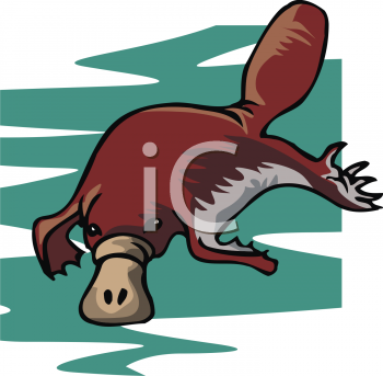 Platypus Clipart