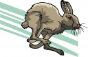 Rabbit Clipart