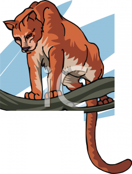 Lion Clipart