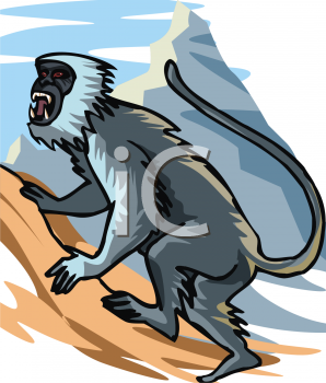 Monkey Clipart