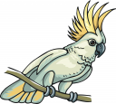 Bird Clipart