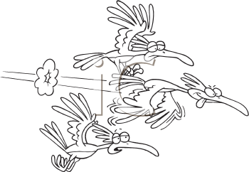 Bird Clipart