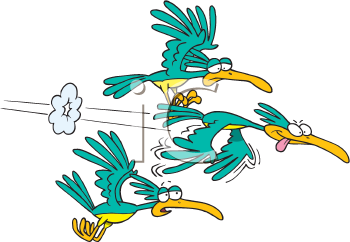 Bird Clipart