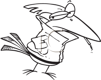 Bird Clipart