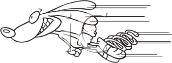 Rabbit Clipart