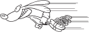 Rabbit Clipart