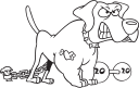 Pet Clipart