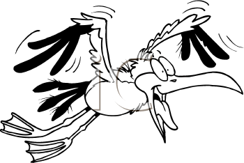 Bird Clipart