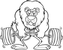 Lion Clipart