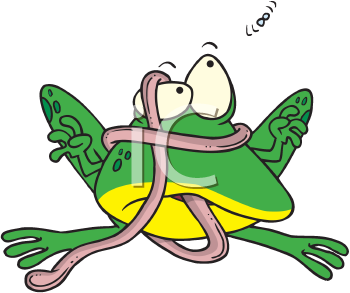 Toad Clipart