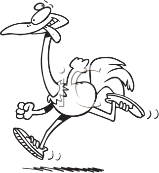 Ostrich Clipart