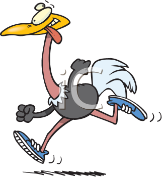 Ostrich Clipart