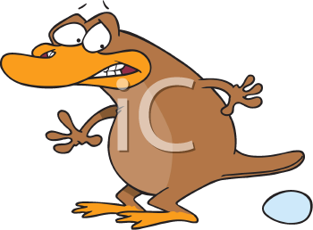 Platypus Clipart