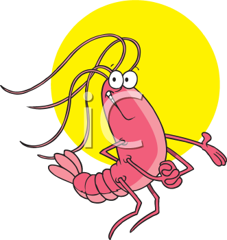 Shrimp Clipart