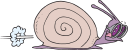 Snail Clipart