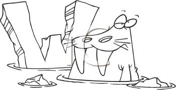 Walrus Clipart