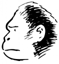 Gorilla Clipart