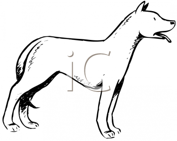 Pet Clipart