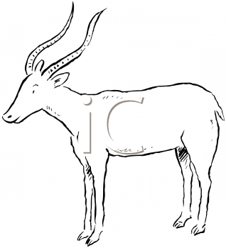 Gazelle Clipart