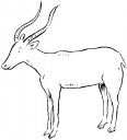 Gazelle Clipart