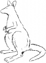 Kangaroo Clipart