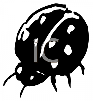 Ladybug Clipart