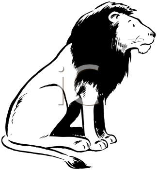 Lion Clipart