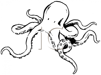 Mollusk Clipart