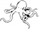 Mollusk Clipart