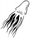 Octopus Clipart