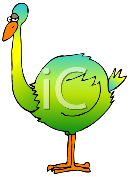 Bird Clipart