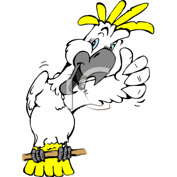 Cockateil Clipart