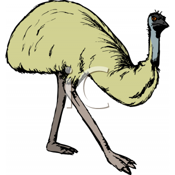 Ostrich Clipart