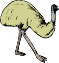 Ostrich Clipart