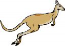 Kangaroo Clipart