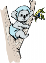 Koala Clipart