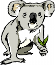 Koala Clipart