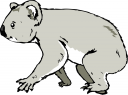 Koala Clipart