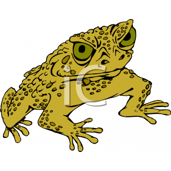 Toad Clipart