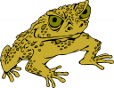 Toad Clipart